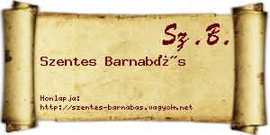 Szentes Barnabás névjegykártya